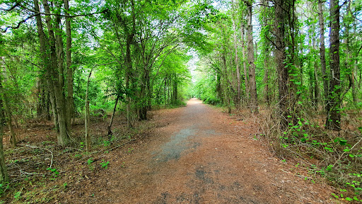 Fresh Pond Trailhead