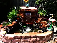 Rob Rocks Inc - Car repair in , Naperville - Rated 4.9/5