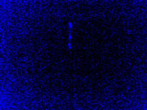 Outdoor Sports Store «Outside World Outfitters», reviews and photos, 471 Quill Dr, Dawsonville, GA 30534, USA