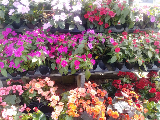 Florist «Robben Florist & Garden Center», reviews and photos, 352 Pedretti Ave, Cincinnati, OH 45238, USA