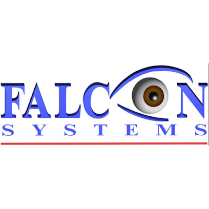 Falcons Systems s.a.