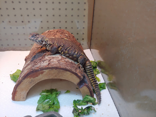 Pet Supply Store «Pet Bazaar», reviews and photos, 490 FL-436, Casselberry, FL 32707, USA