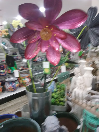 Department Store «HomeGoods», reviews and photos, 42400 Washington St, Bermuda Dunes, CA 92201, USA