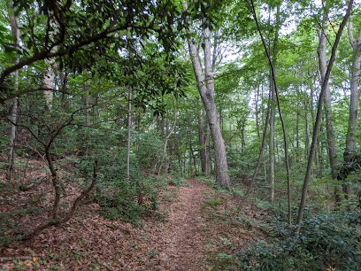 Cordelia Hepburn Cushman Preserve