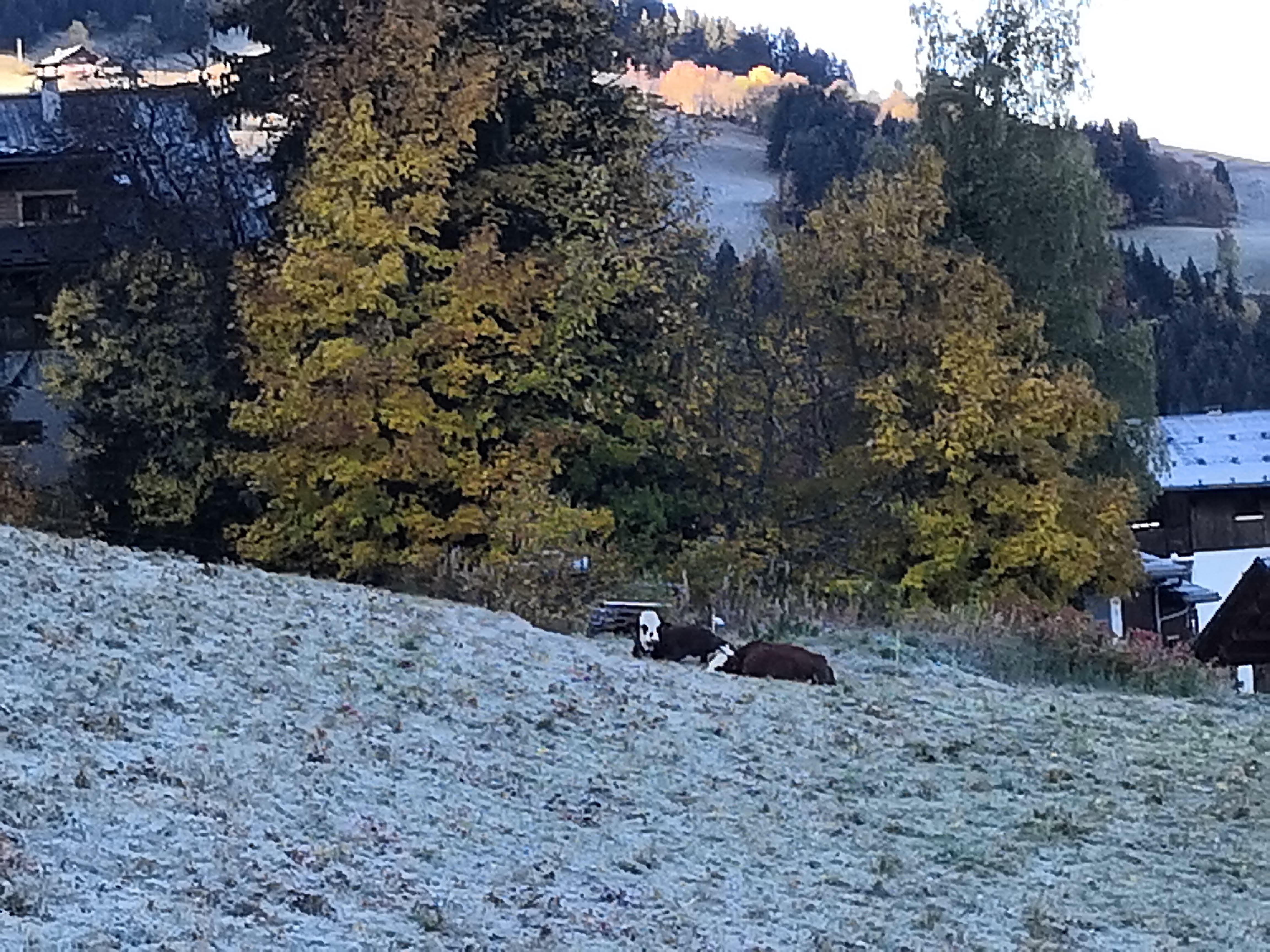 Photo n° 2 de l'avis de Edith.a fait le 23/11/2021 à 18:23