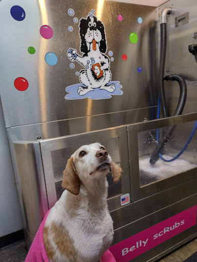 Pet Groomer «Belly scRubs Self Service Pet Wash», reviews and photos, 119 WV-34 #1, Hurricane, WV 25526, USA