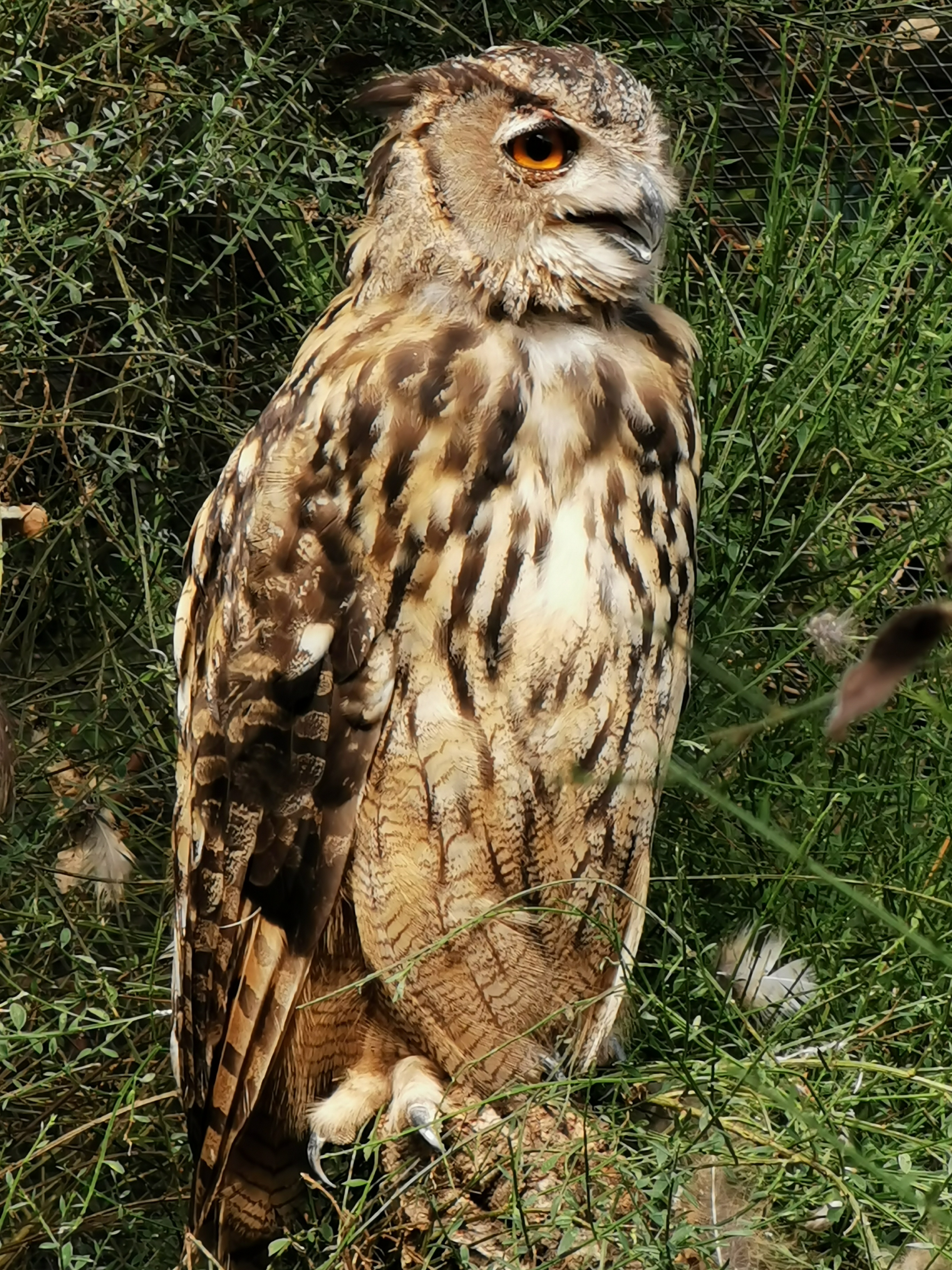 Photo n° 14 de l'avis de Fabe.l fait le 06/08/2019 à 21:48