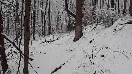 Park «Pilgrim Hill Local Park», reviews and photos, 1615 E Randolph Rd, Silver Spring, MD 20904, USA