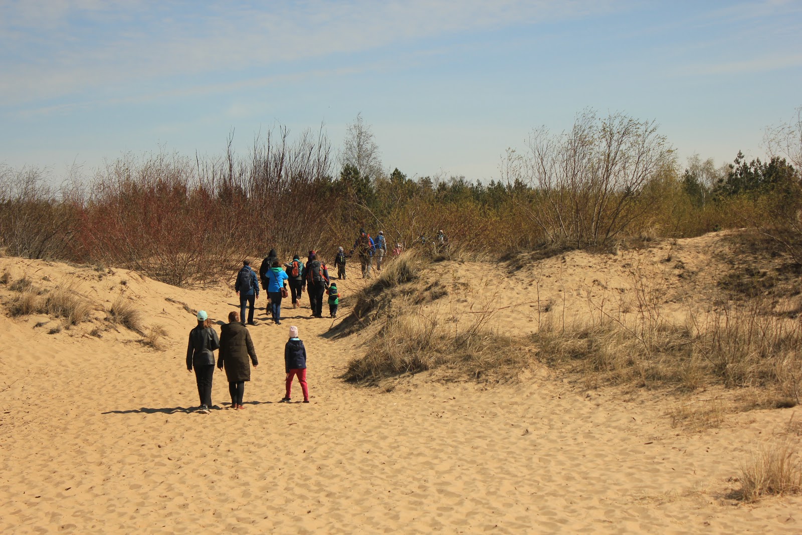 Photo de Vitsula beach Gdansk situé dans une zone naturelle