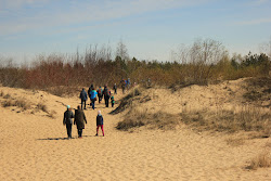 Photo de Vitsula beach Gdansk situé dans une zone naturelle