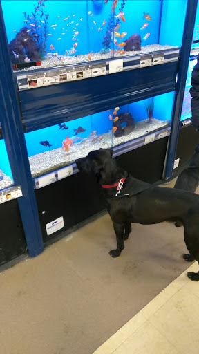 Pet Supply Store «Petco Animal Supplies», reviews and photos, 6325 York Rd, Baltimore, MD 21212, USA