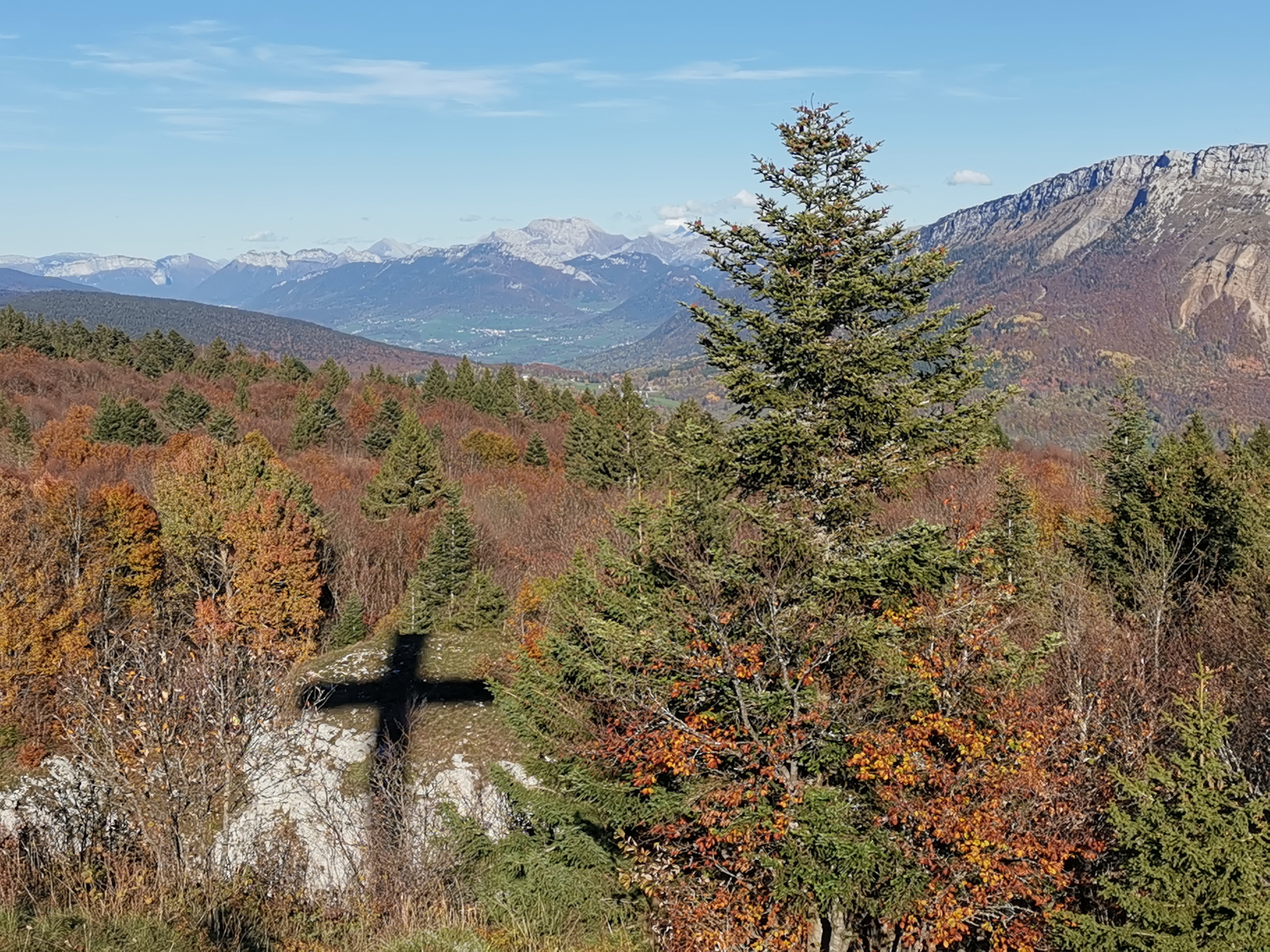 Photo n° 4 de l'avis de MARCHAND.a fait le 23/10/2022 à 08:44