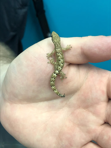 Aquarium «Skoolz of Fish», reviews and photos, 1503 Chamberlayne Ave, Richmond, VA 23222, USA