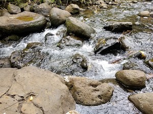 Maunawili Falls - photo 45