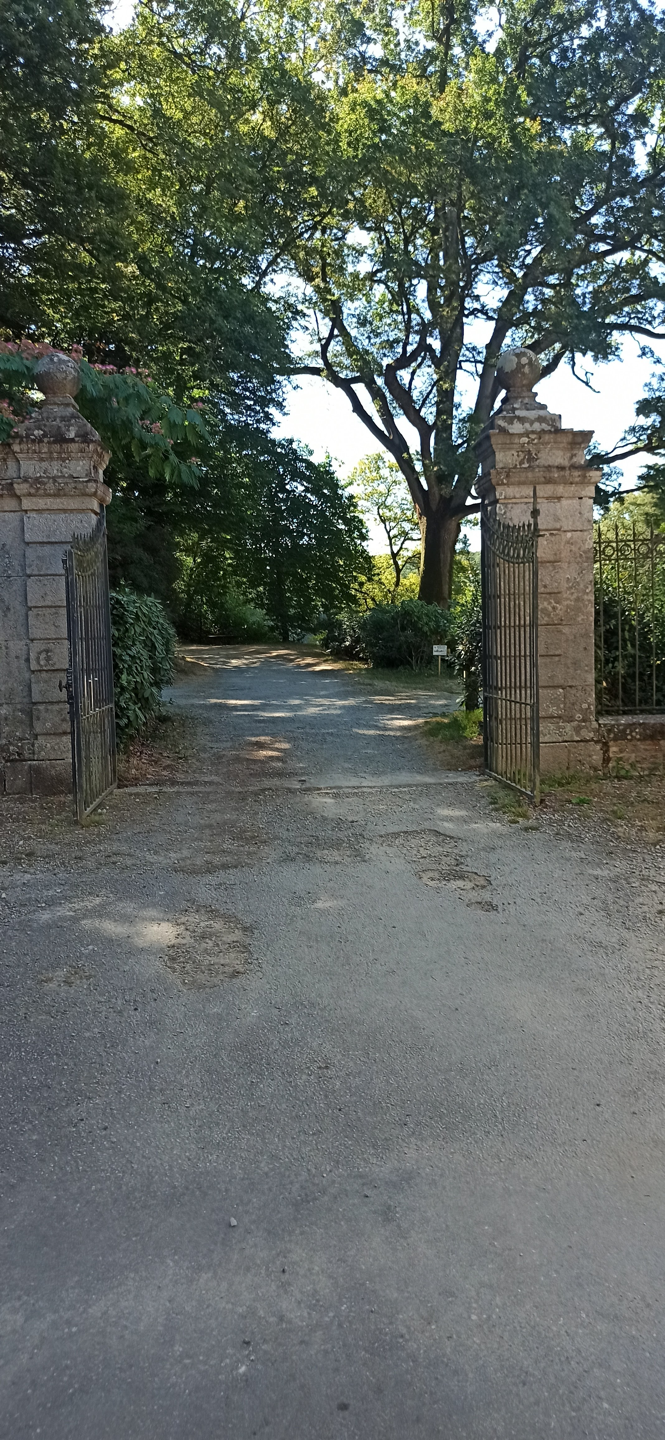 Photo n° 32 de l'avis de E.- fait le 02/08/2022 à 10:44
