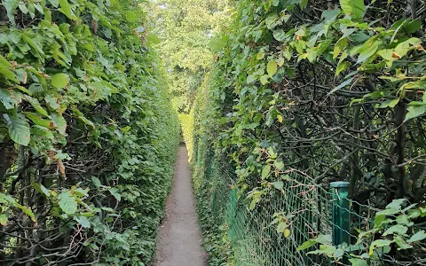 Irrgarten Altjeßnitz image