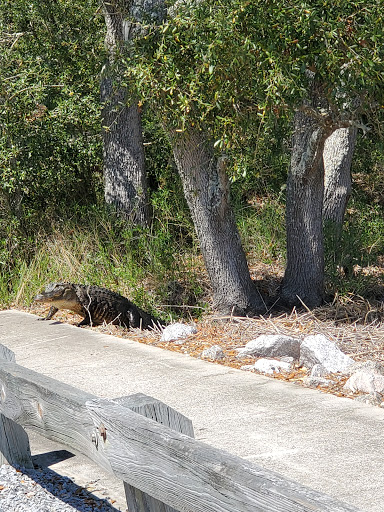National Park «Atalaya», reviews and photos, Atalaya Rd, Murrells Inlet, SC 29576, USA