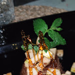 Photo n°3 de l'avis de Loredana.i fait le 22/08/2021 à 20:56 sur le  Donatella Bistrot à Oviglio