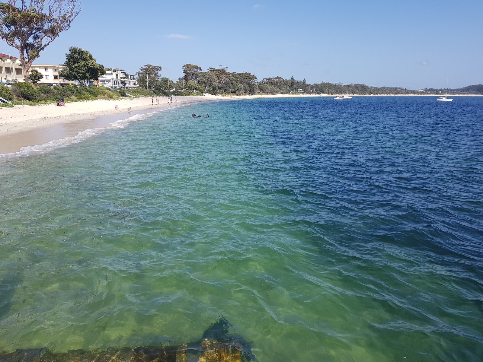 Shoal Bay Foreshore Reserve photo #6