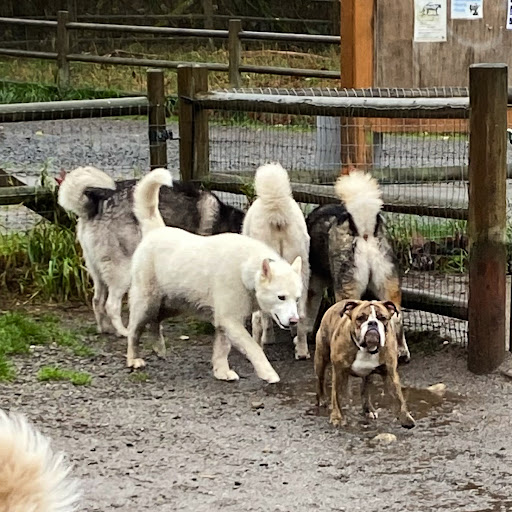 Park «Willis D. Tucker Community Park», reviews and photos, 6705 Puget Park Dr, Snohomish, WA 98296, USA