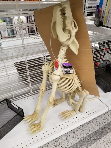 Shopping Mall «Southroads Shopping Center», reviews and photos, 5211 E 41st St, Tulsa, OK 74135, USA