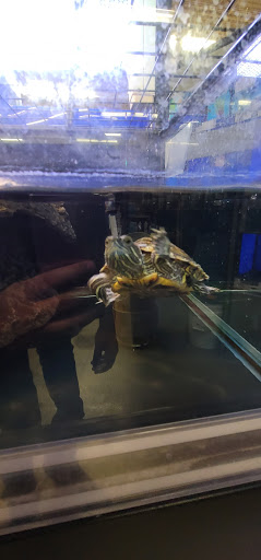 Pet Supply Store «Petco Animal Supplies», reviews and photos, 42-700 Jackson St, Indio, CA 92203, USA