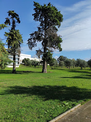 Instituto de Investigação Interdisciplinar da Universidade de Coimbra