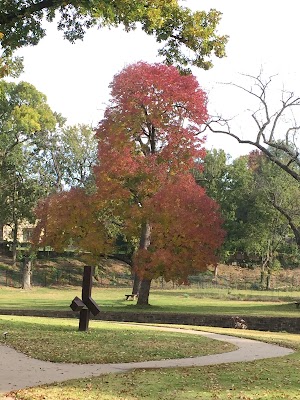 Philbrook Museum of Art - photo 80