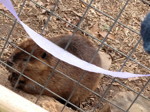 Zoo «Wildlife Wonders», reviews and photos, 2754 Paradise Valley Rd, Cleveland, GA 30528, USA