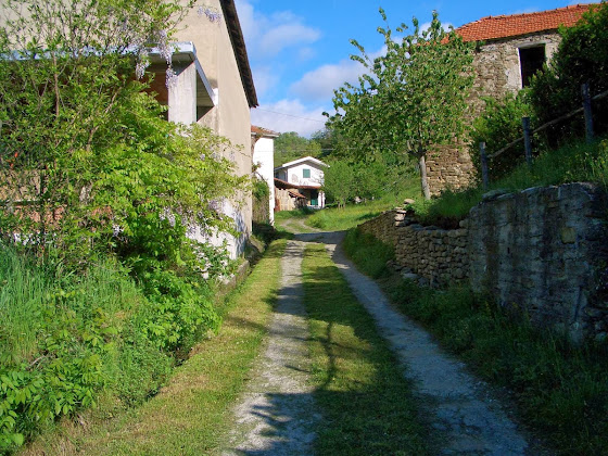 Extérieur Bed & Breakfast Zia Zelinda 17058 Dego