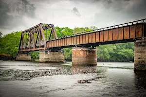 Nature Coast Trail - Suwannee River Bridge image