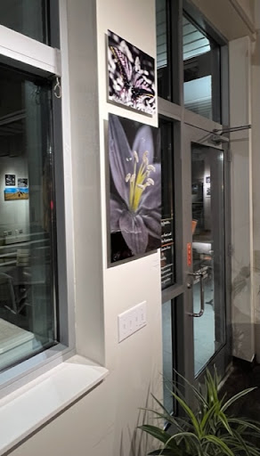 Health Food Store «The Mustard Seed Market and Cafe», reviews and photos, 867 W Market St, Akron, OH 44303, USA