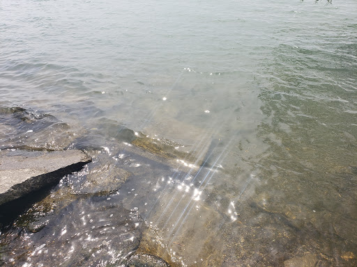 Park «Ruedisale Point Park», reviews and photos, 50400 Ruedisale St, New Baltimore, MI 48047, USA