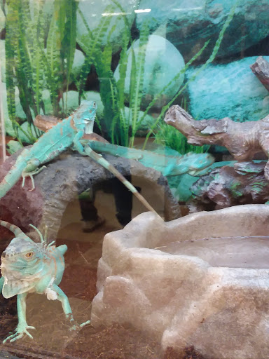 Pet Supply Store «Petco Animal Supplies», reviews and photos, 4908 Kingston Pike, Knoxville, TN 37919, USA