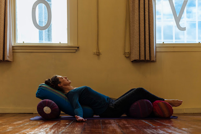 Reviews of The Dunedin Yoga Studio in Dunedin - Yoga studio