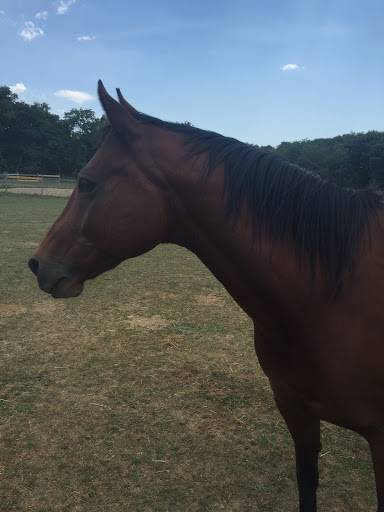 Water Park «Splish Splash Water Park», reviews and photos, 2549 Splish Splash Dr, Calverton, NY 11933, USA