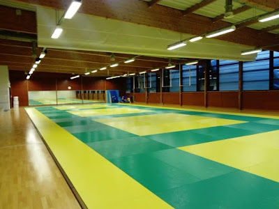 Arts Martiaux Taekwondo Cardio Fit Hapkido Self-defense à La Roche-sur-Foron