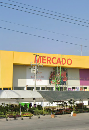 Tienda de Plantas