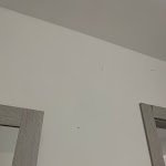 Photo n°5 de l'avis de Sofia.r fait le 26/07/2023 à 09:54 sur le  Hotel Sporting Club à Altavilla Milicia