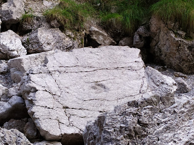 Impronte di dinosauro Casera Casavento, 33080 Claut PN, Italia