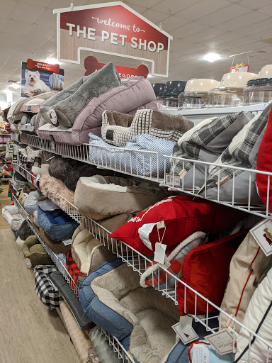 Department Store «HomeGoods», reviews and photos, 67 Newtown Rd, Danbury, CT 06810, USA