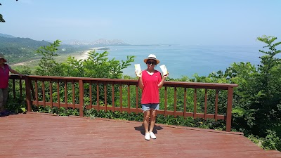 Photos of 화진포테마파크