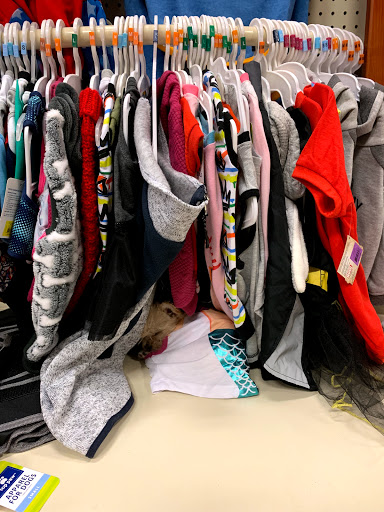 Pet Supply Store «PetSmart», reviews and photos, 4550 W Lake Mary Blvd, Lake Mary, FL 32746, USA