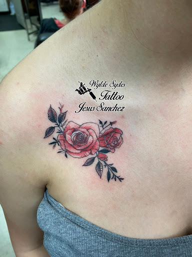 Explore sloth tattoo ideas, creative tattoo ideas in San Diego, available at Wylde Sydes Tattoo & Body Piercing