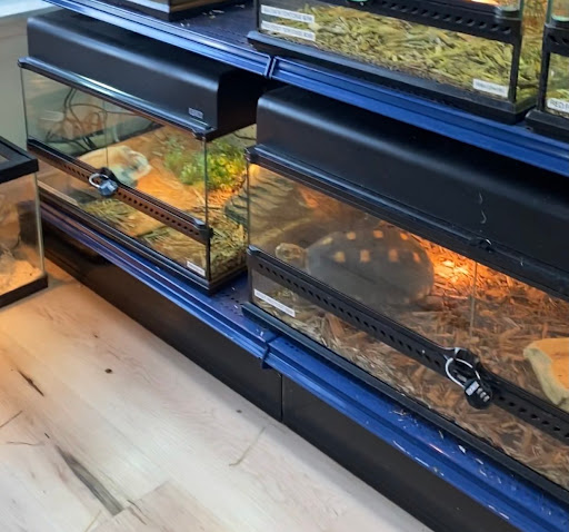 Pet Supply Store «The Animal Store», reviews and photos, 4364 Touhy Ave, Lincolnwood, IL 60712, USA