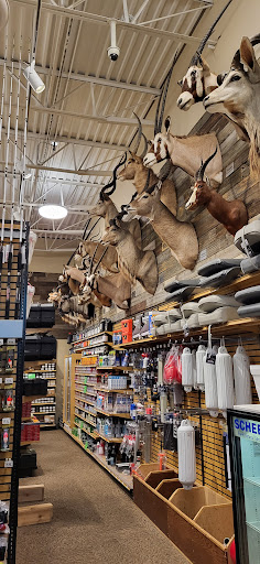 Sporting Goods Store «SCHEELS», reviews and photos, 101 Jordan Creek Pkwy #4000, West Des Moines, IA 50266, USA