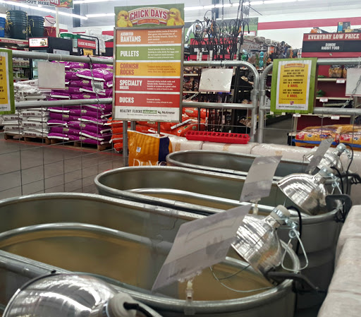 Home Improvement Store «Tractor Supply Co.», reviews and photos, 1161 Broadway, Bangor, ME 04401, USA