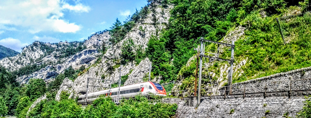 Swiss Travel System AG