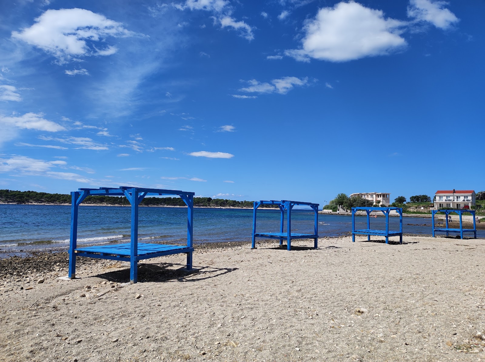 Monty's Dog Beach photo #8