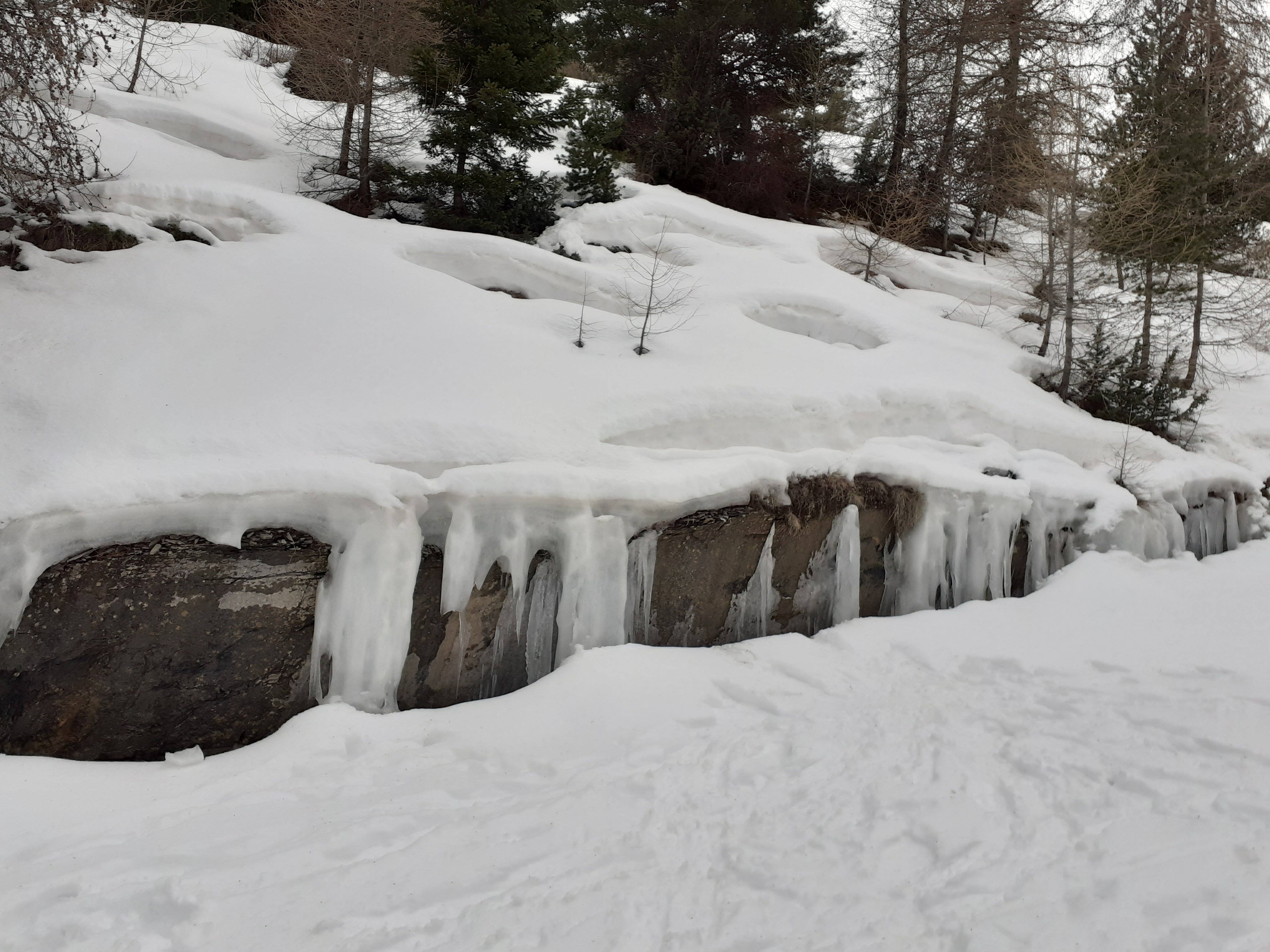 Photo n° 3 de l'avis de aubert.t fait le 23/02/2021 à 13:55